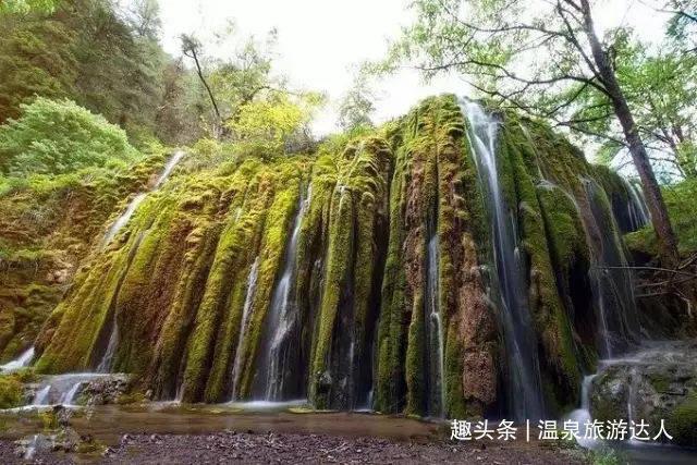 诅咒之书