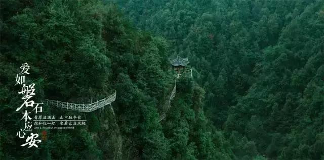 洗衣机按下电源按钮后毫无反应怎么回事游戏画面